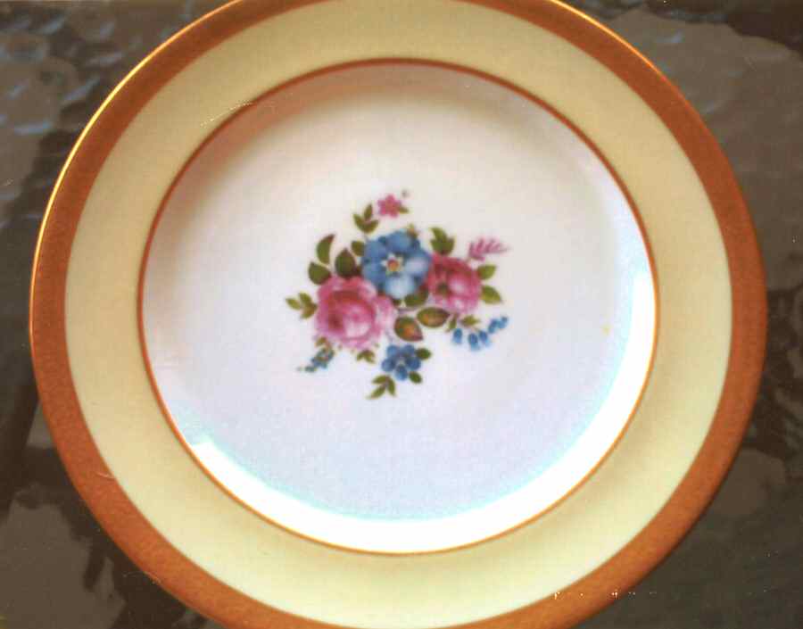 PAR151 Dinner Plate by Paragon-1