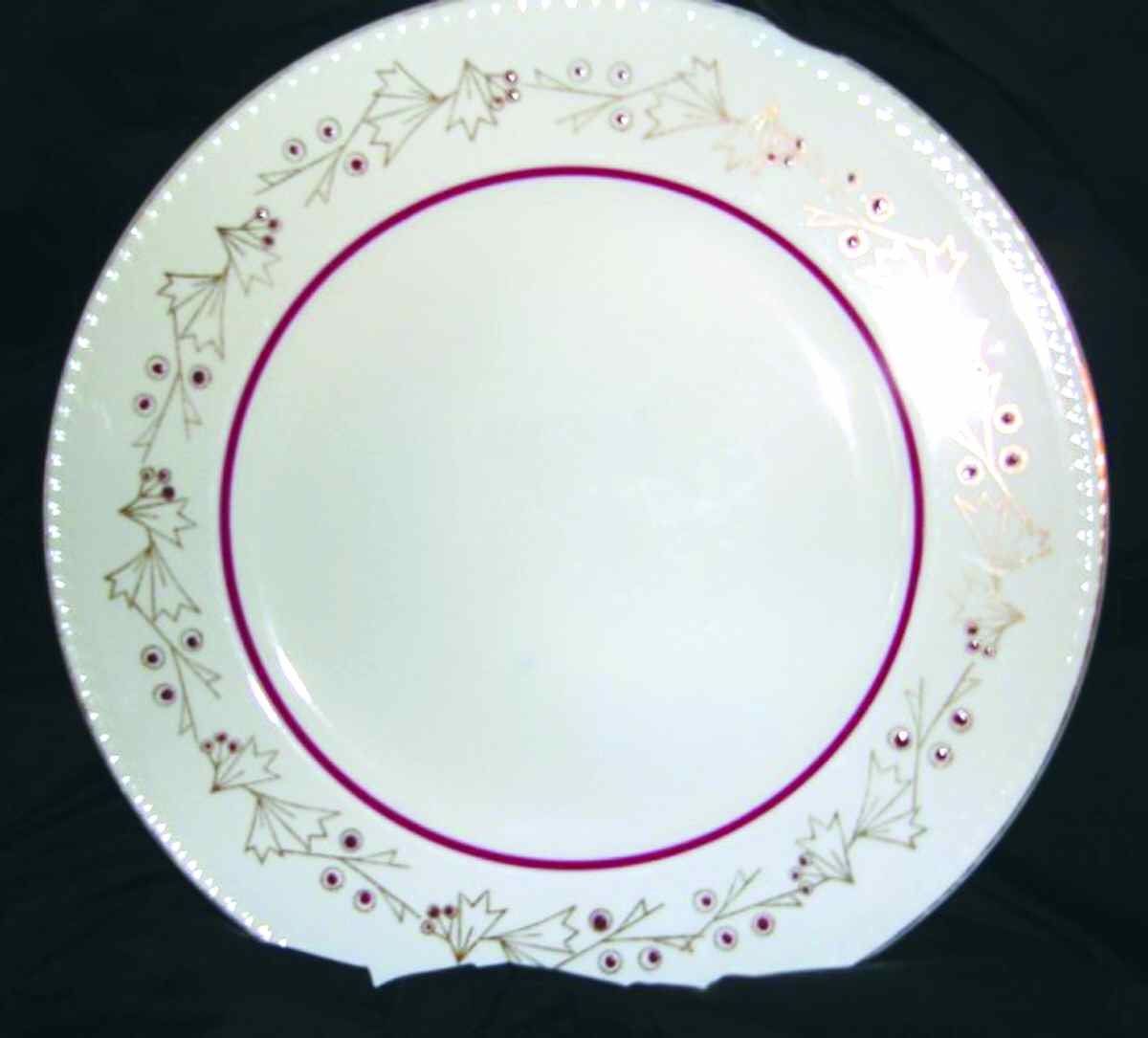 PTL7 Dinner Plate by Portland-1