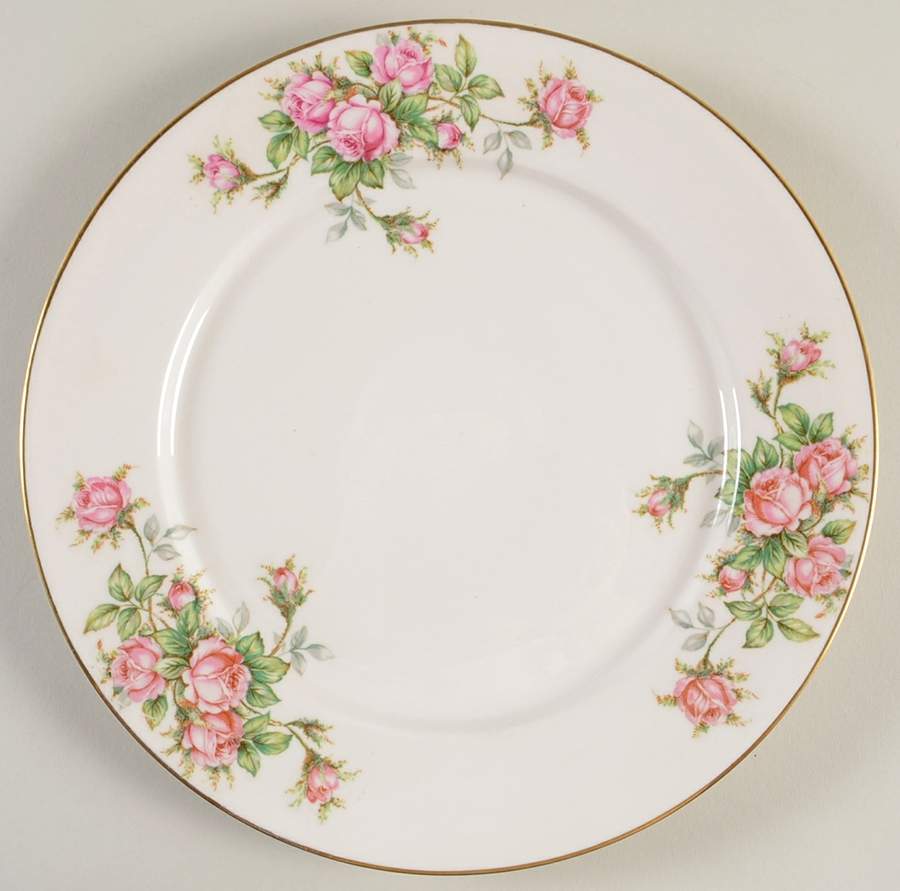 PNC2 Dinner Plate by Pencrest-1
