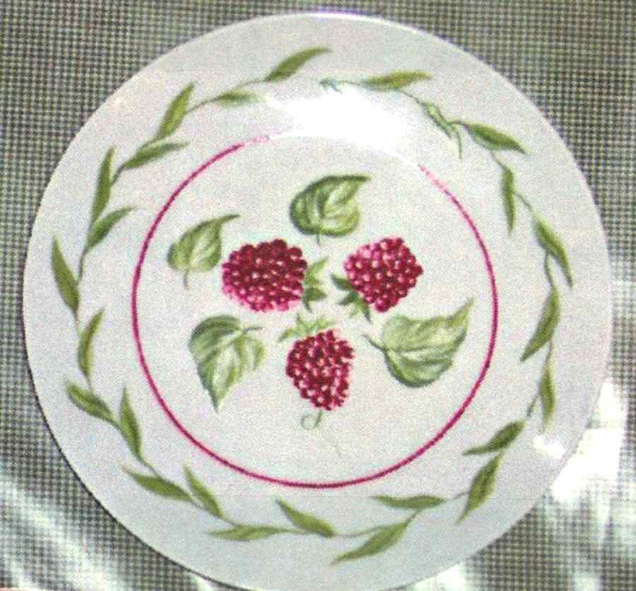 Verger Dessert/Pie Plate by Porcelaine De Paris-1