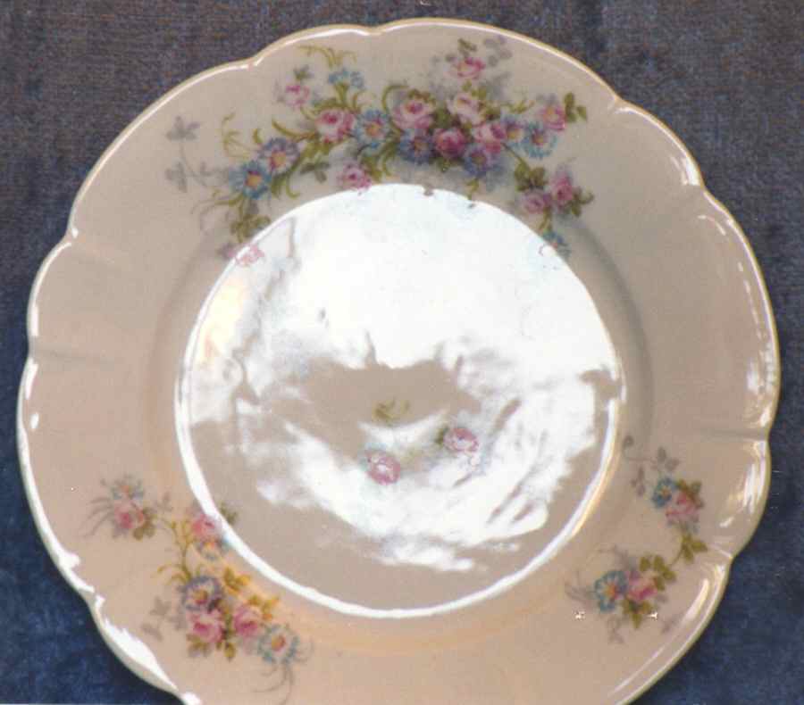 PL65 Dinner Plate by Porcelaine Limousine-1