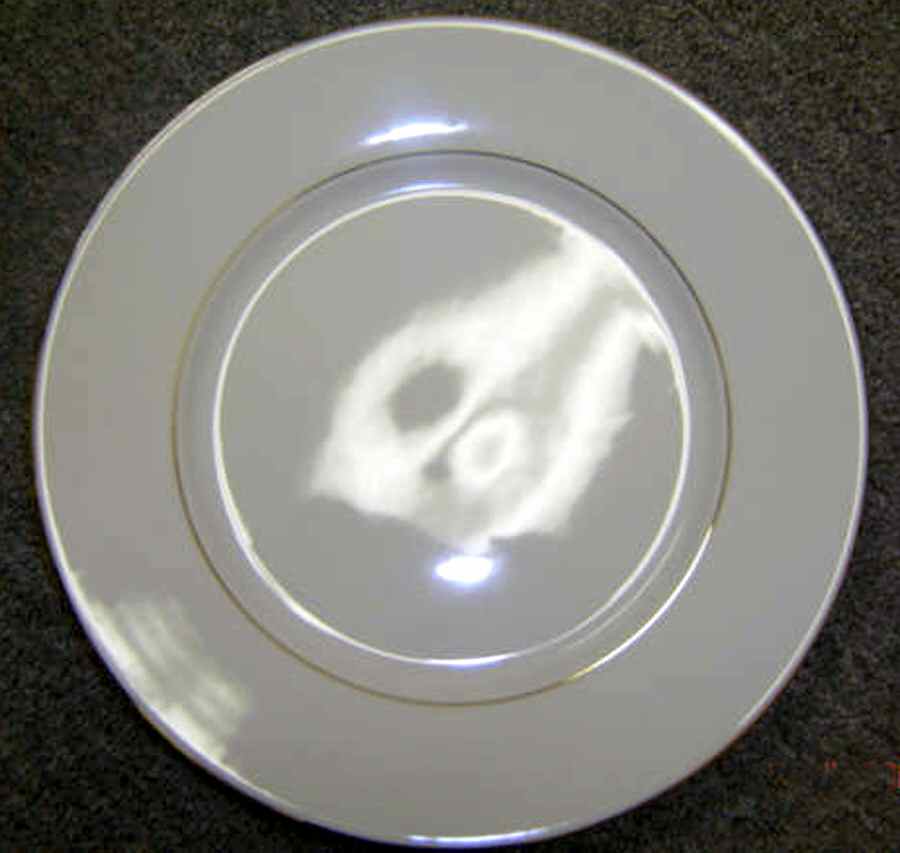 PLI18 Dinner Plate by Porcelaine de Limoges-1