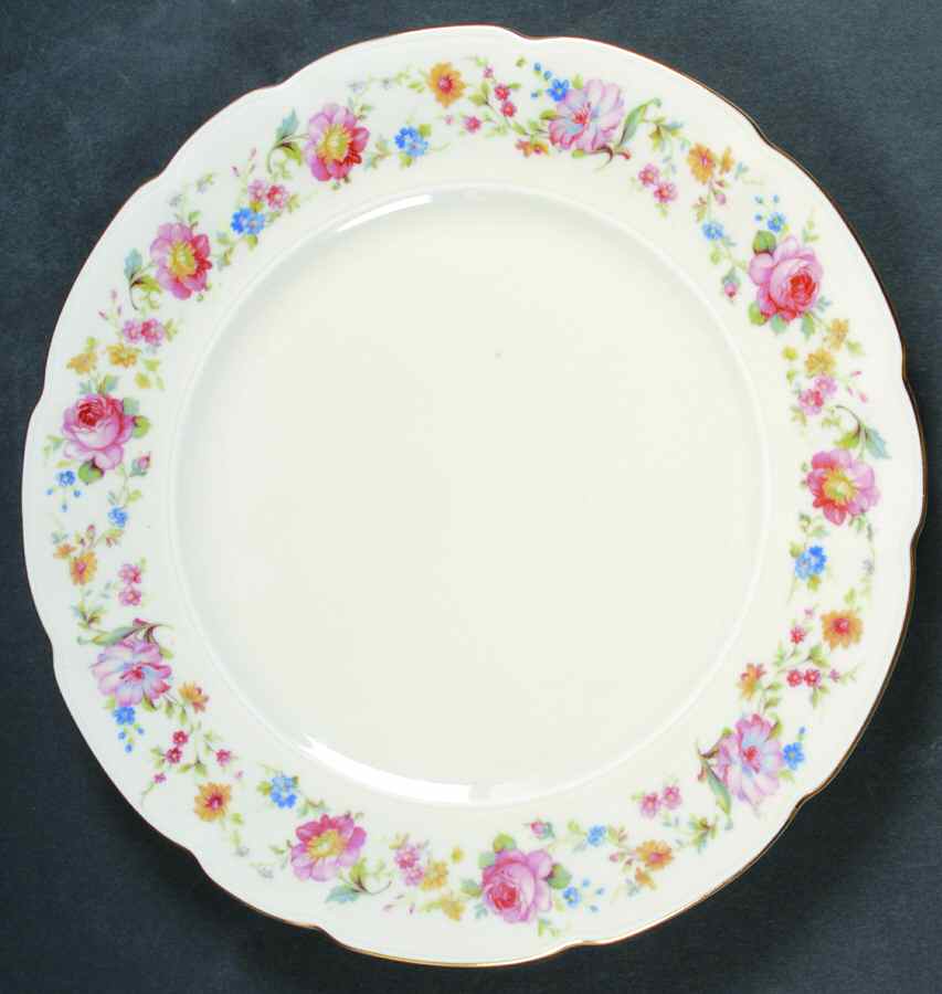PIR150 Dinner Plate by Pirkenhammer-1