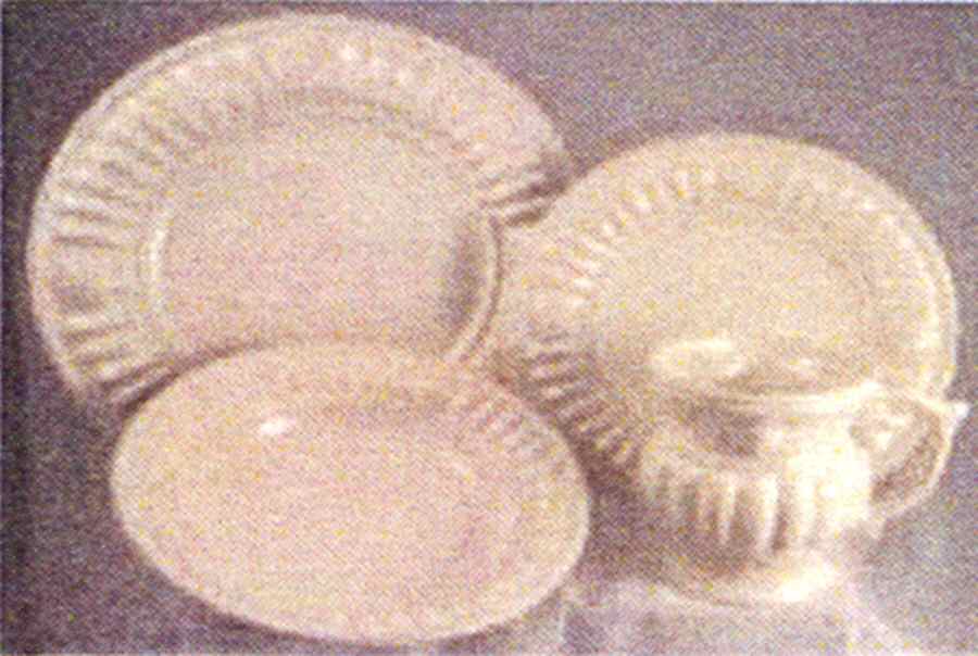 Palladium White Dinner Plate by Pfaltzgraff-1
