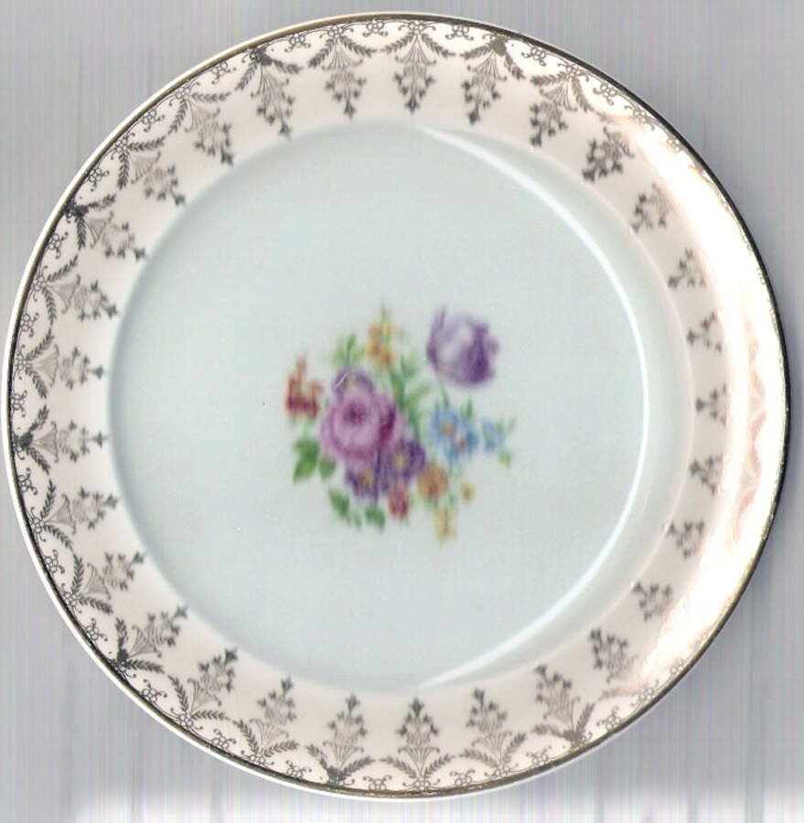 PCP249 Dinner Plate by Paden City-1
