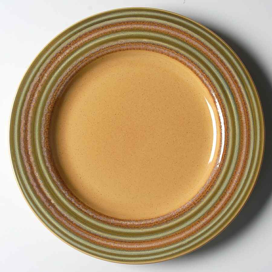 Triana Dinner Plate by Pier 1-1