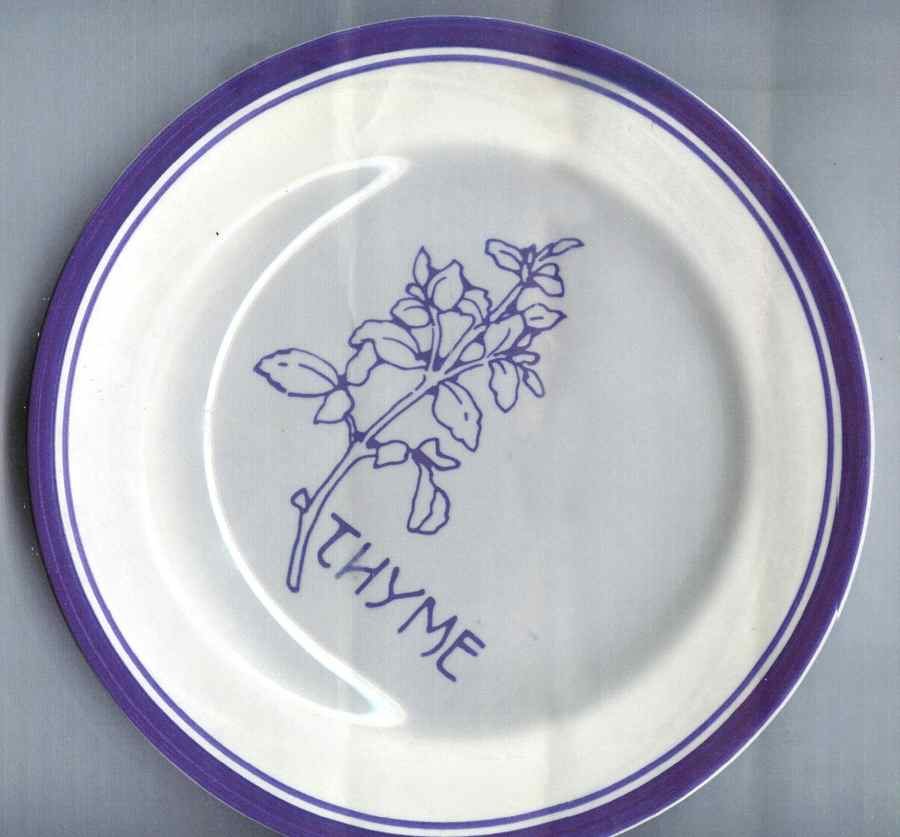 PMA4 Salad Plate by Primitive Artisan-1