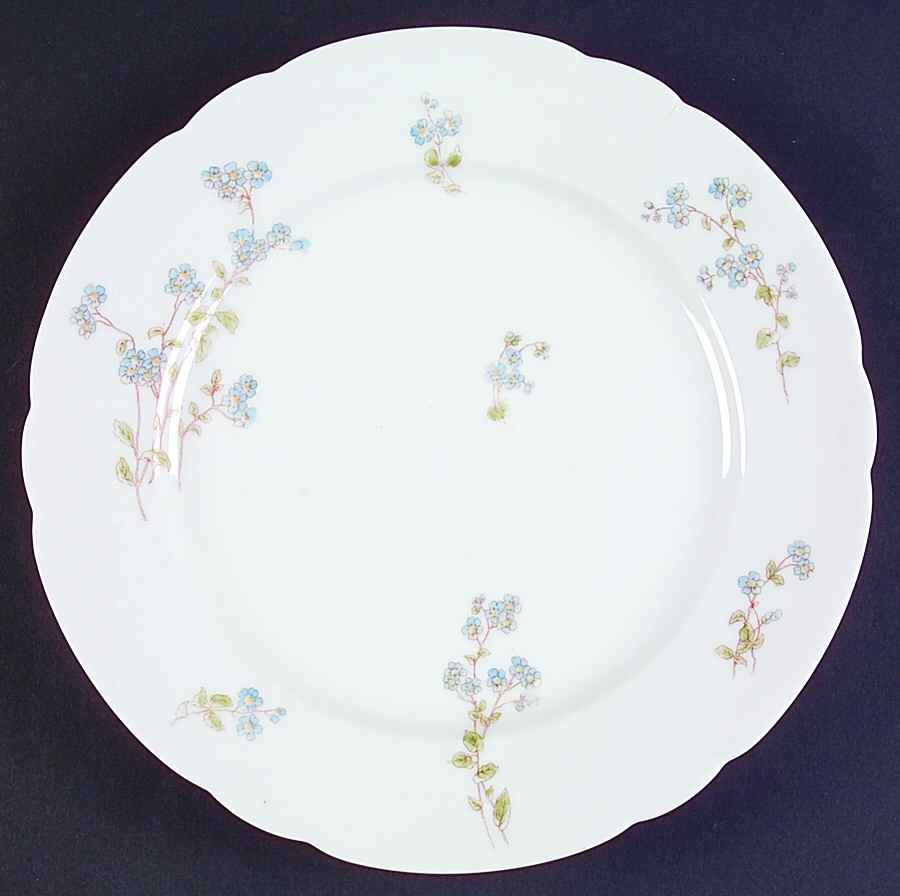 PHL41 Dinner Plate by P H Leonard-1