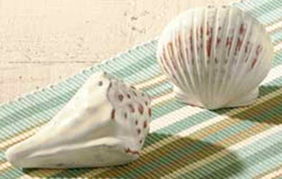 Sea Breeze Figural Salt & Pepper Set by Park Designs-1