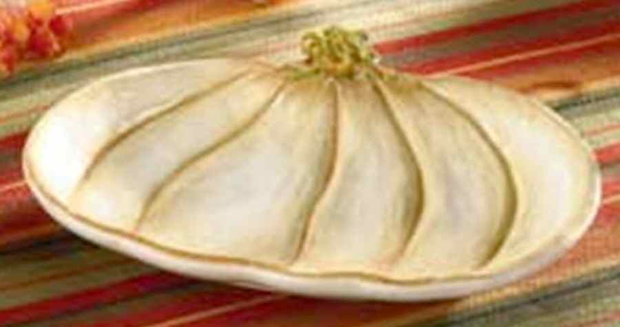 Autumn Harvest Snack Dish by Park Designs-1
