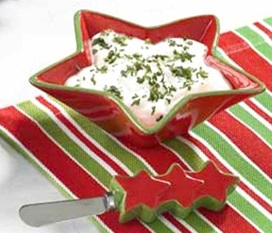 Wrap It Up Dip Bowl & Spreader Set by Park Designs-1