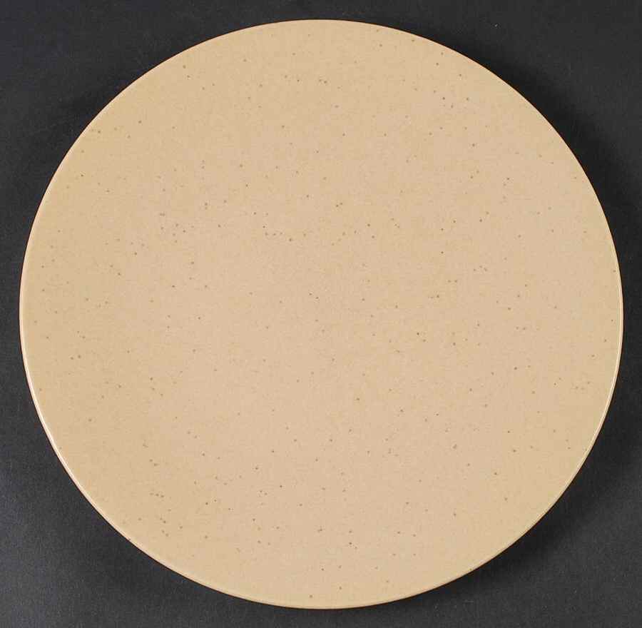 Natural Speckle Dinner Plate by Pier 1-1