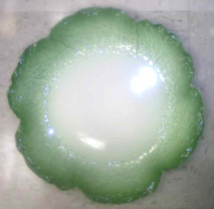 P2R3 9" Round Serving Bowl by Paris Royal-1