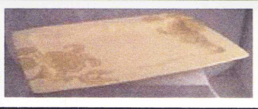 Peony Portrait Cream 16" Rectangular Serving Platter by Pfaltzgraff-1