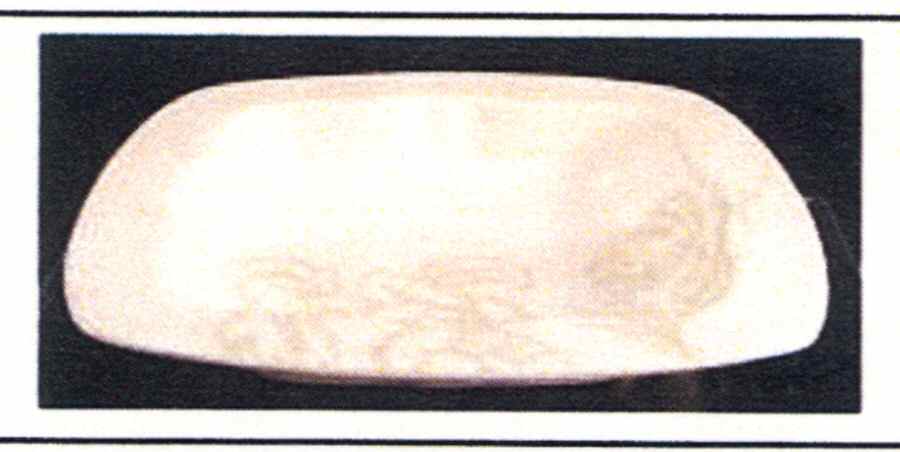 Peony Portrait White 10" Square Individual Pasta Bowl by Pfaltzgraff-1