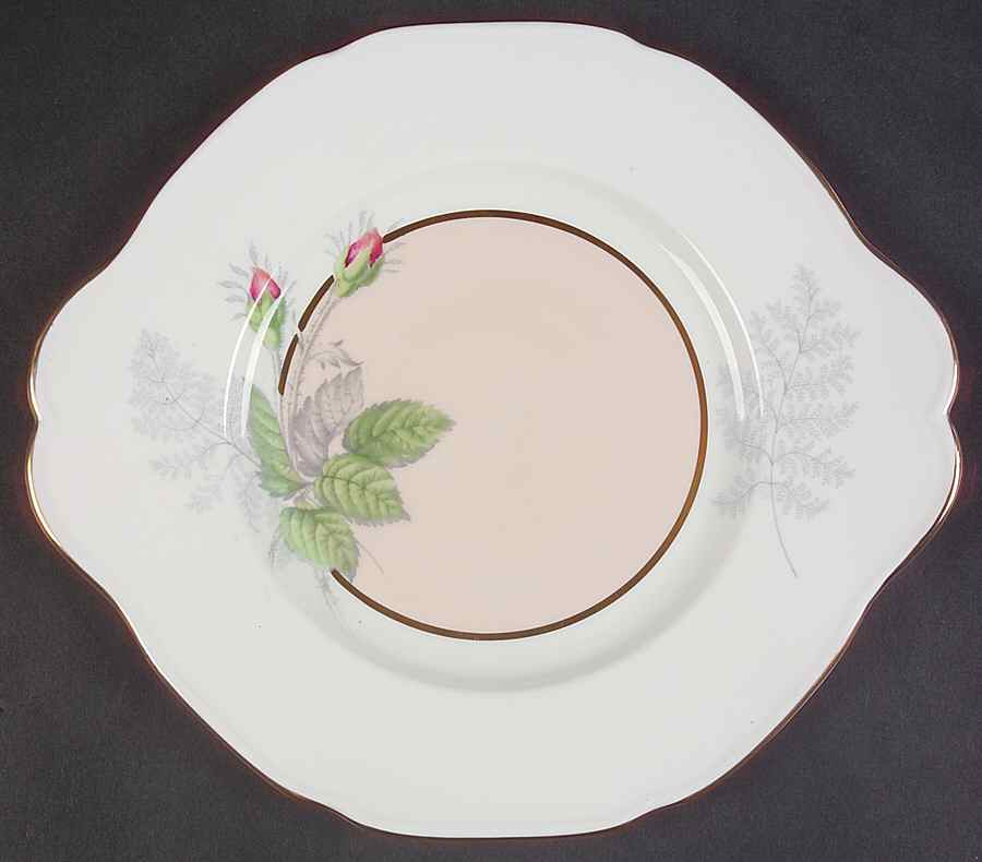 A3117 Handled Cake Plate by Paragon-1