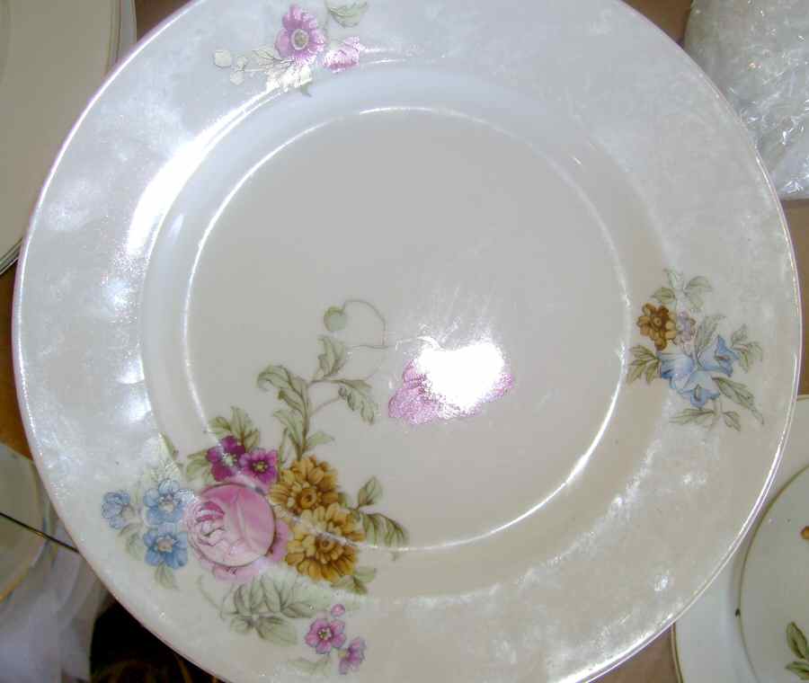6264 Dinner Plate by Pirkenhammer-1