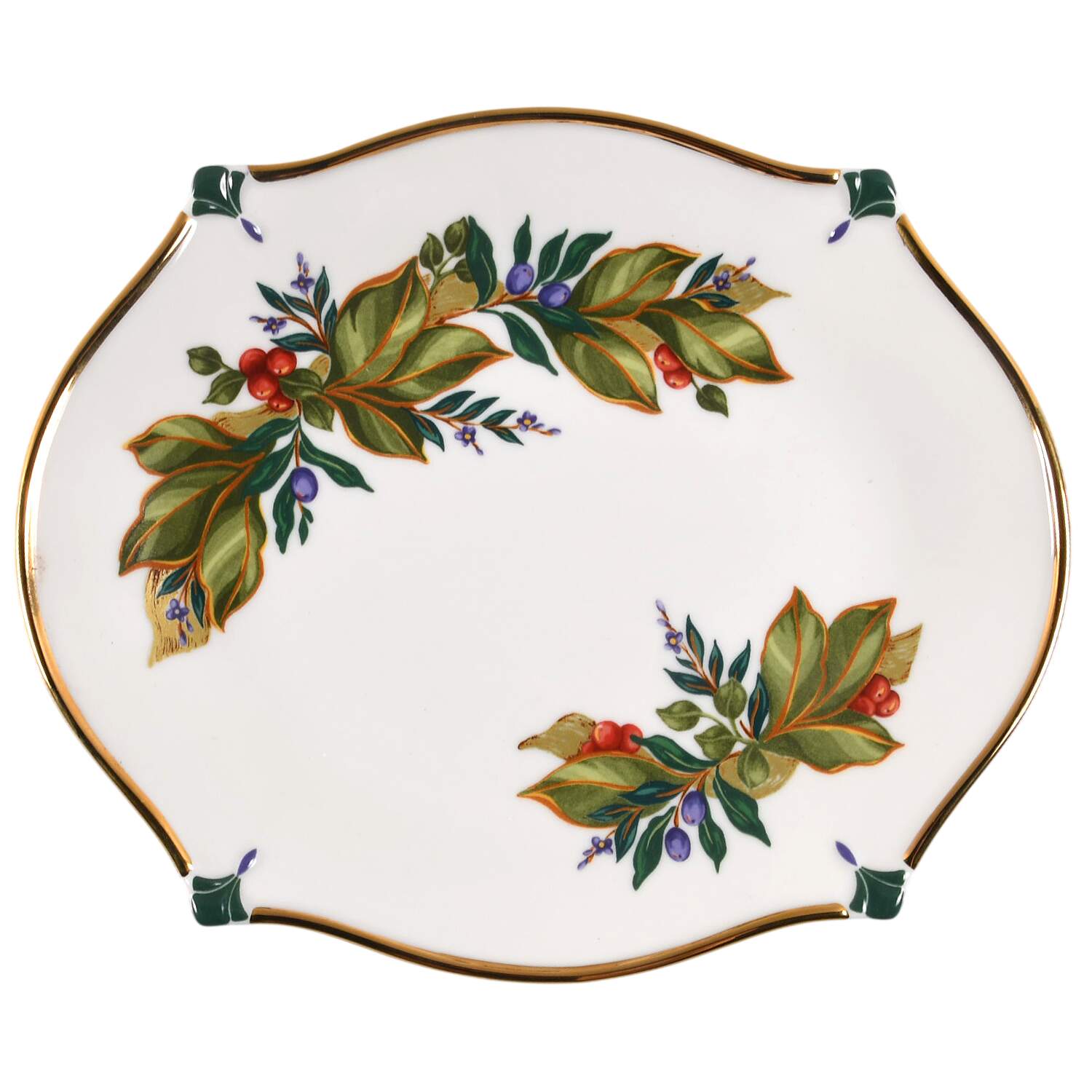 Winter Garden Oval Hors d'Oevre Dish by Princess House-1
