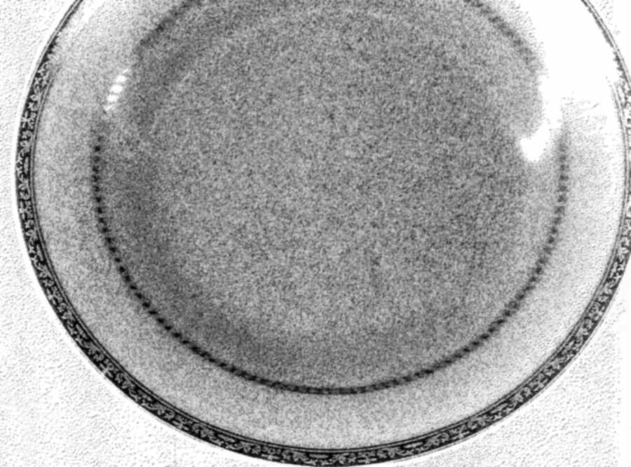 Savior Faire Dinner Plate by Prestige (China)-1