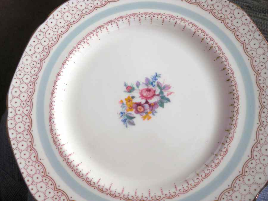 PAR159 Dinner Plate by Paragon-1