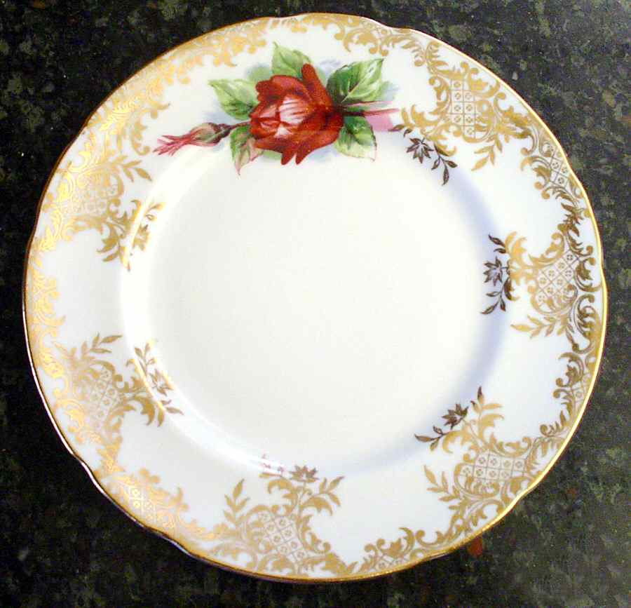 C57 Dinner Plate by Paragon-1