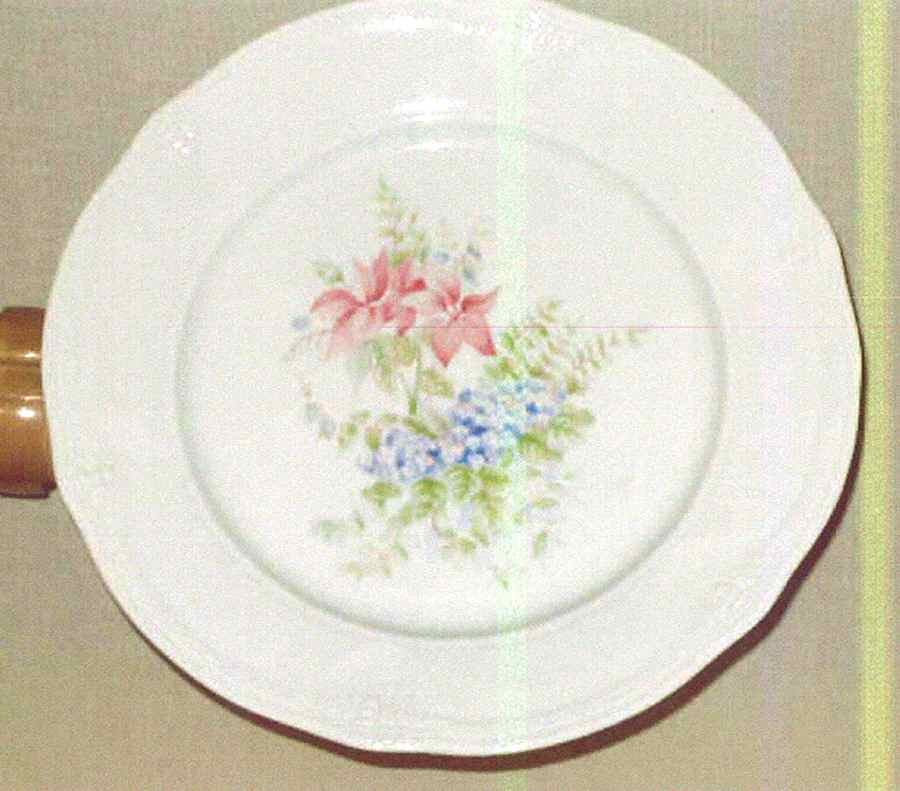 PLI21 Dinner Plate by Porcelaine de Limoges-1