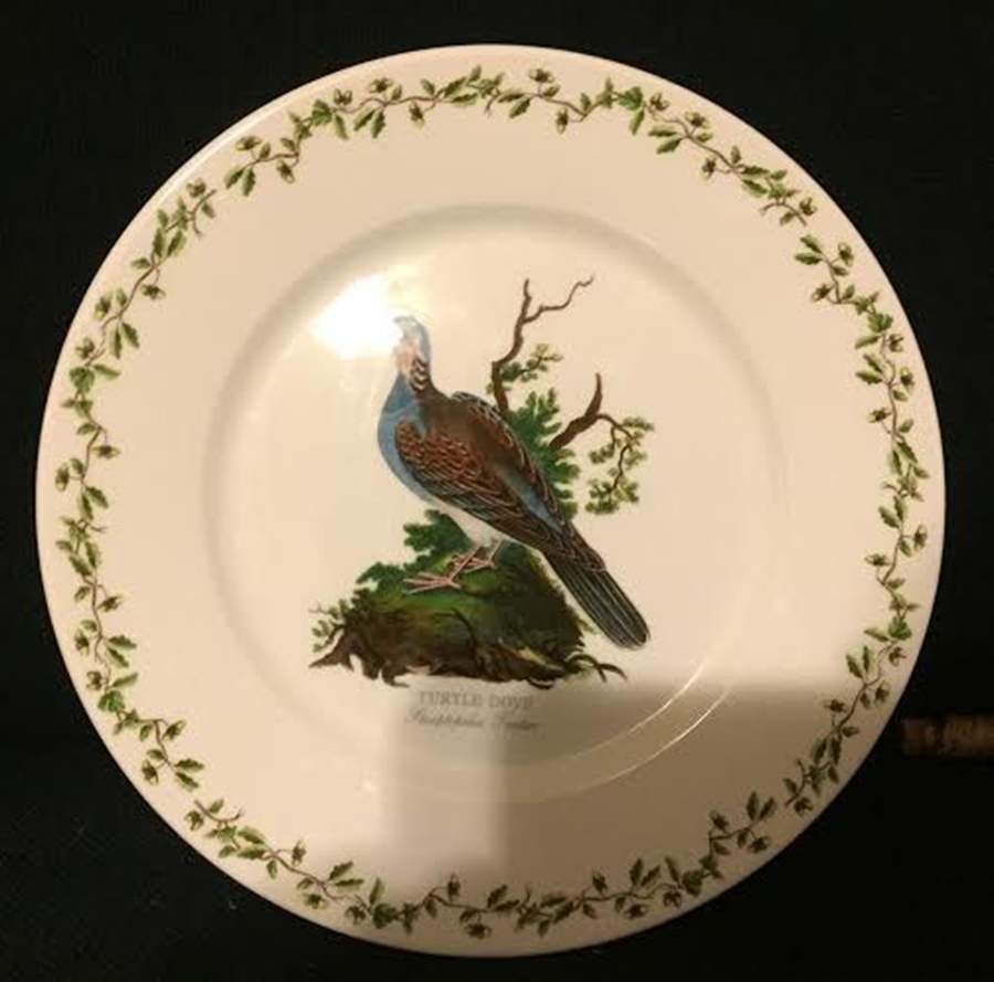 Birds of Britain Dinner Plate with Large 1 3/4" Rim by Portmeirion-1