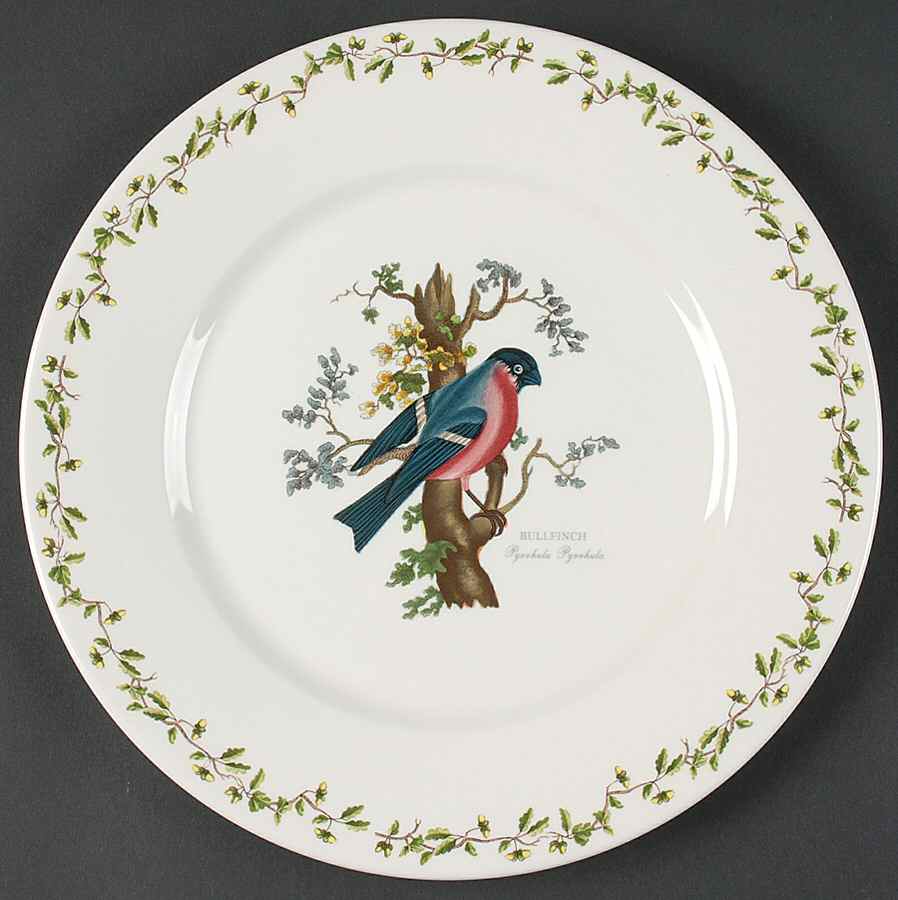 Birds of Britain Dinner Plate with Large 1 3/4" Rim by Portmeirion-1