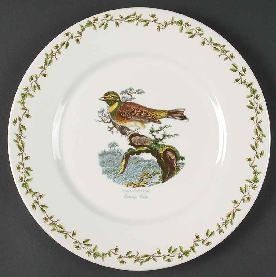 Birds of Britain Dinner Plate with Large 1 3/4" Rim by Portmeirion-1