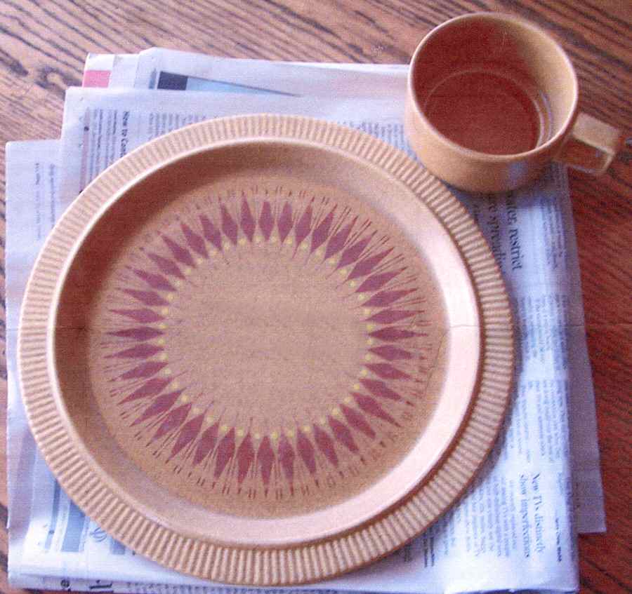 PFA74 Dinner Plate by Pfaltzgraff-1