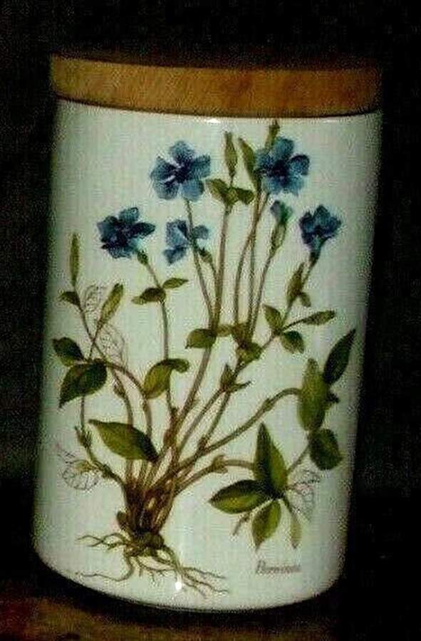 PRT7 7" Storage Jar & Lid by Portmeirion-1