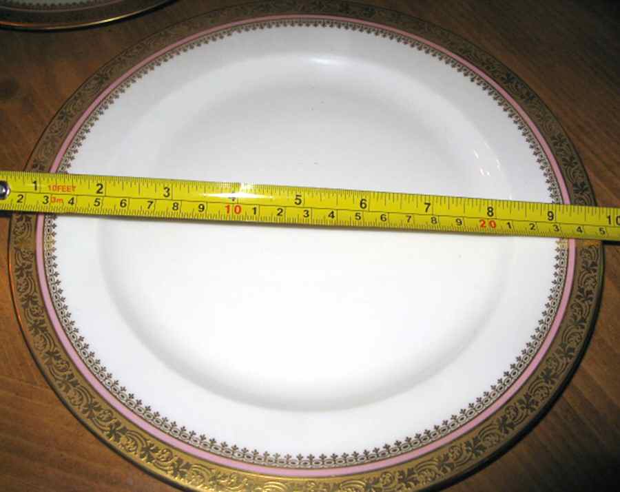 PAD36 Dinner Plate by Paroutaud-1