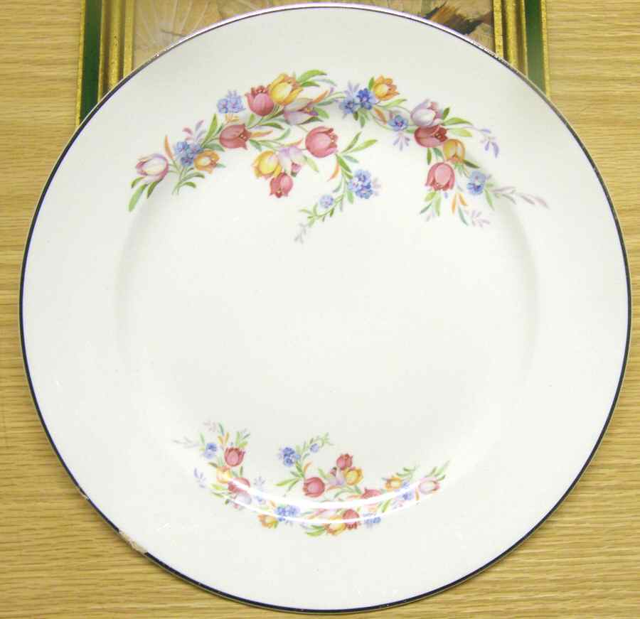 POP273 Dinner Plate by Pope Gosser-1