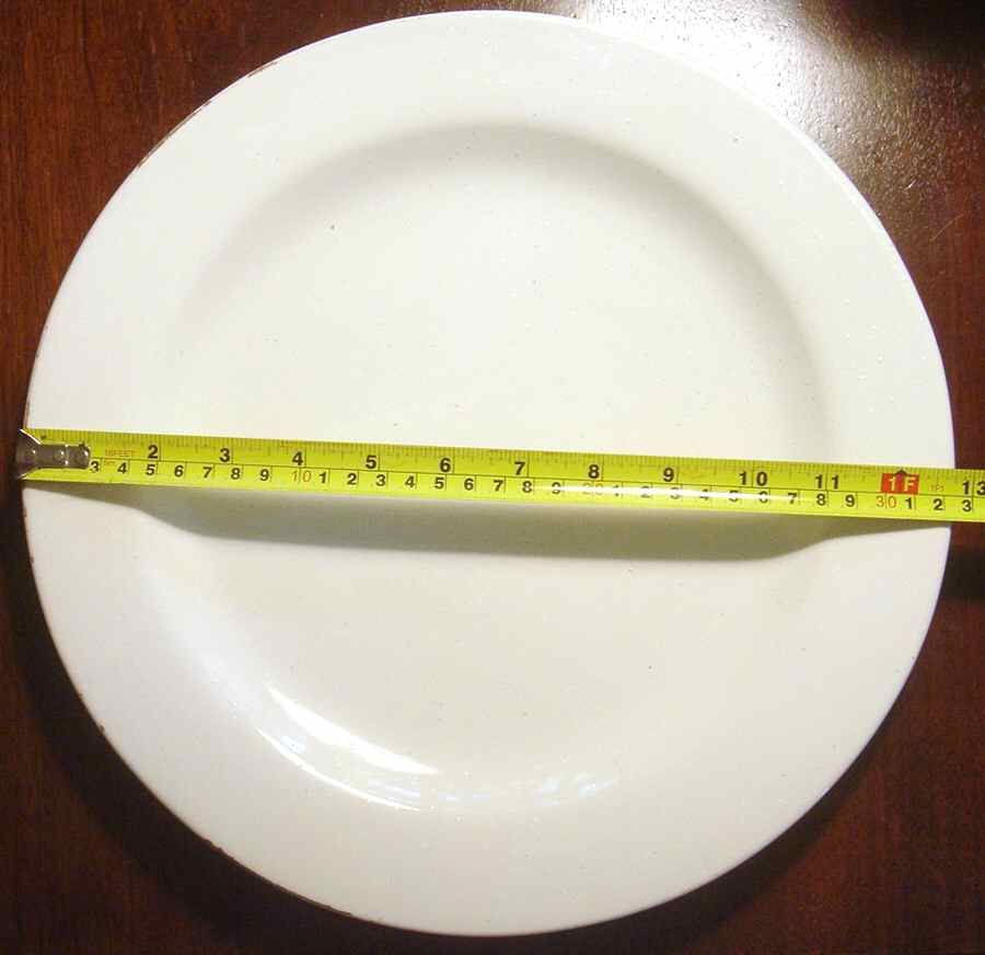 PBA52 Dinner Plate by Pottery Barn China-1