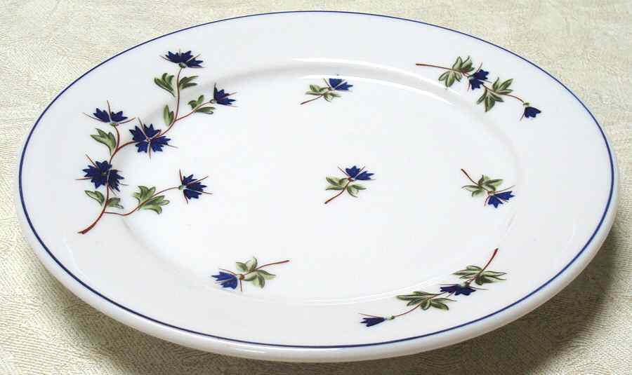 K821 Dinner Plate by Pillivuyt-1