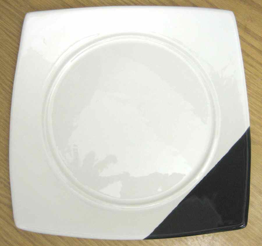 S7P1 Dinner Plate by Salt and Pepper-1