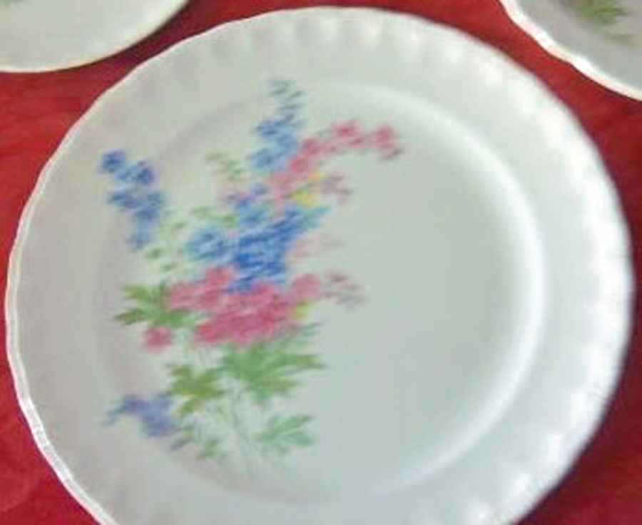 POP276 Dinner Plate by Pope Gosser-1