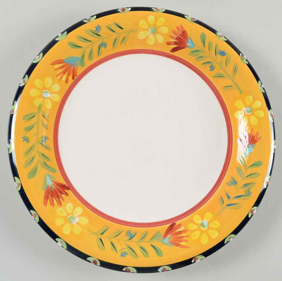 Doneva Dinner Plate by Pier 1-1