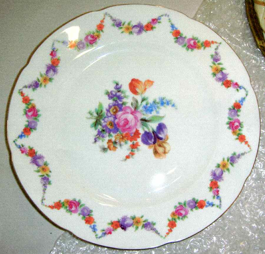 PIR166 Dinner Plate by Pirkenhammer-1