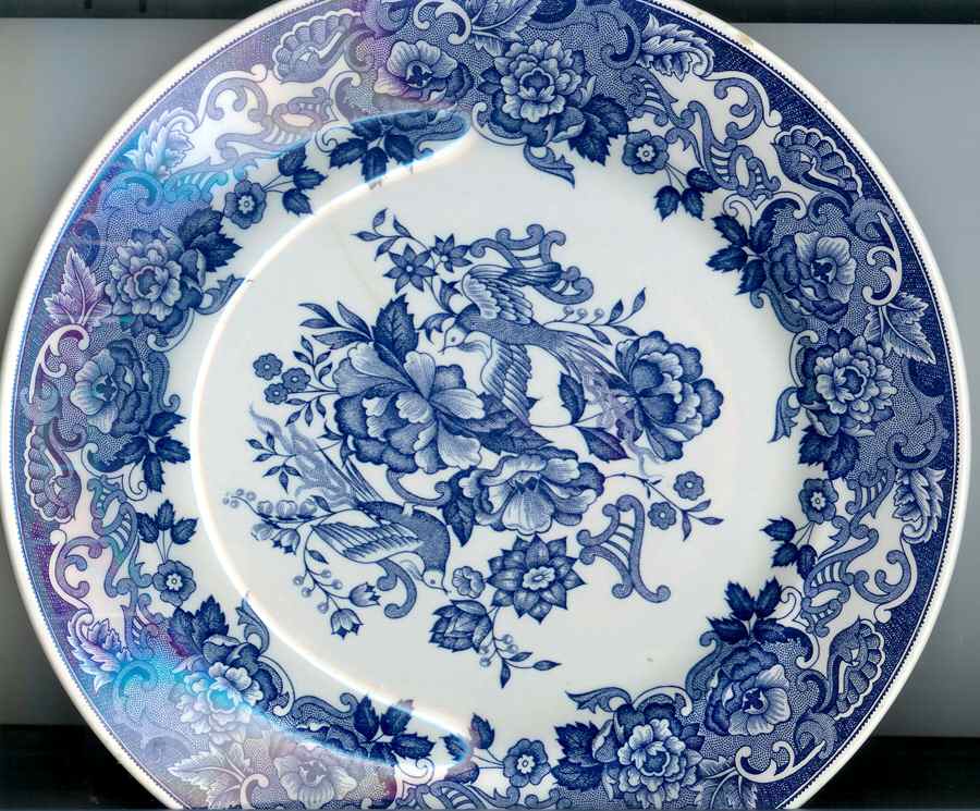 PRL54 Dinner Plate by Primula-1