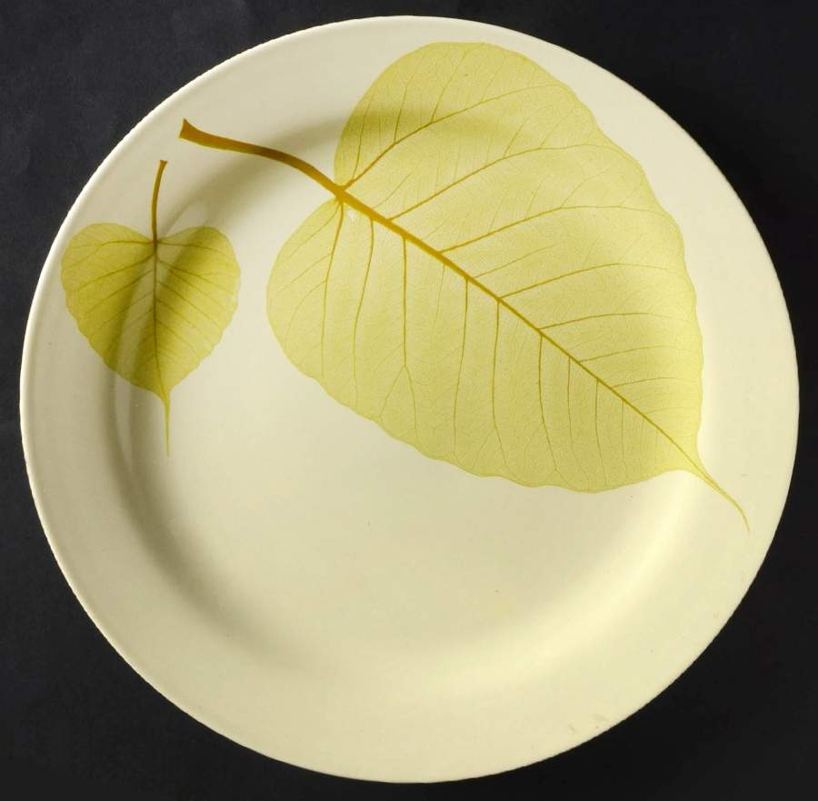 Aspen Dinner Plate by Pier 1-1
