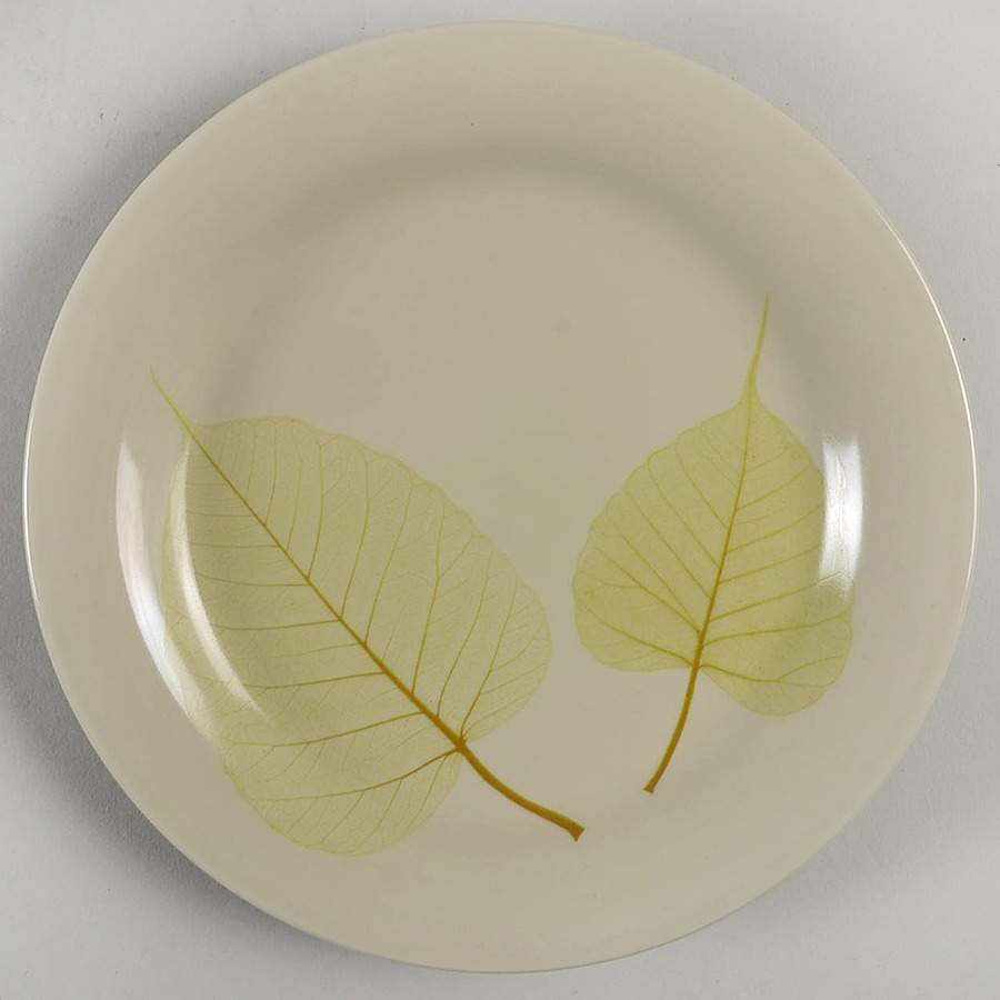Aspen Salad Plate by Pier 1-1