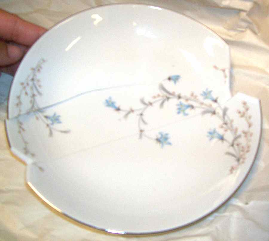 P1J3 Dinner Plate by Pacific Fine China-1