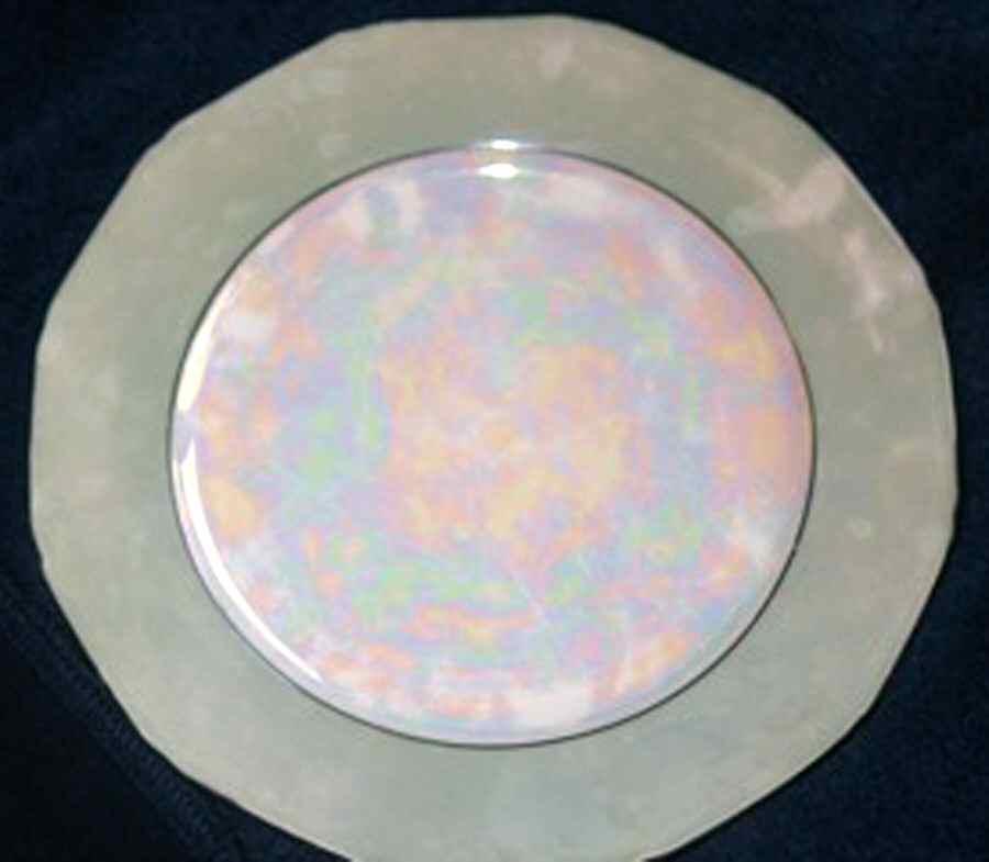 PUN127 Dinner Plate by Porcelain Union-1