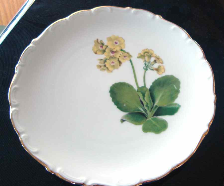 PHE51 Salad Plate by Phoenix (Czech)-1