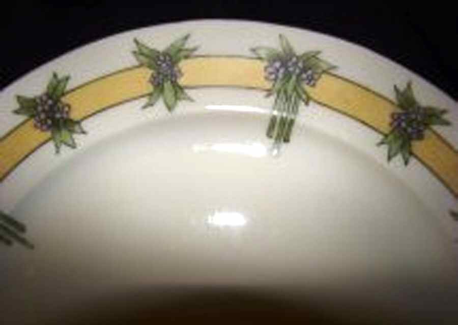 PL76 Dinner Plate by Porcelaine Limousine-1