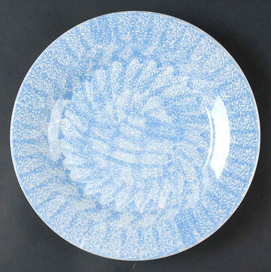 PER111 Dinner Plate by Pier 1-1