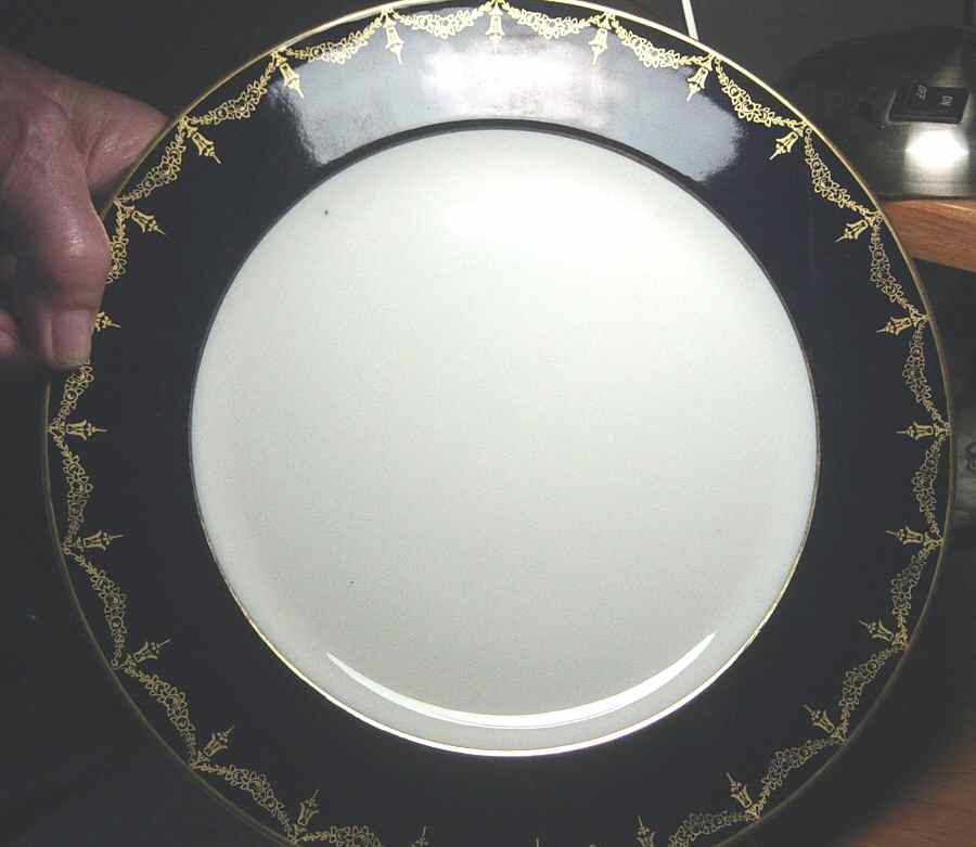 PIR171 Dinner Plate by Pirkenhammer-1