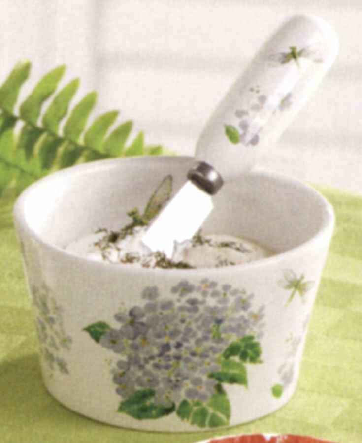 In Bloom Dip Bowl & Spreader Set by Park Designs-1