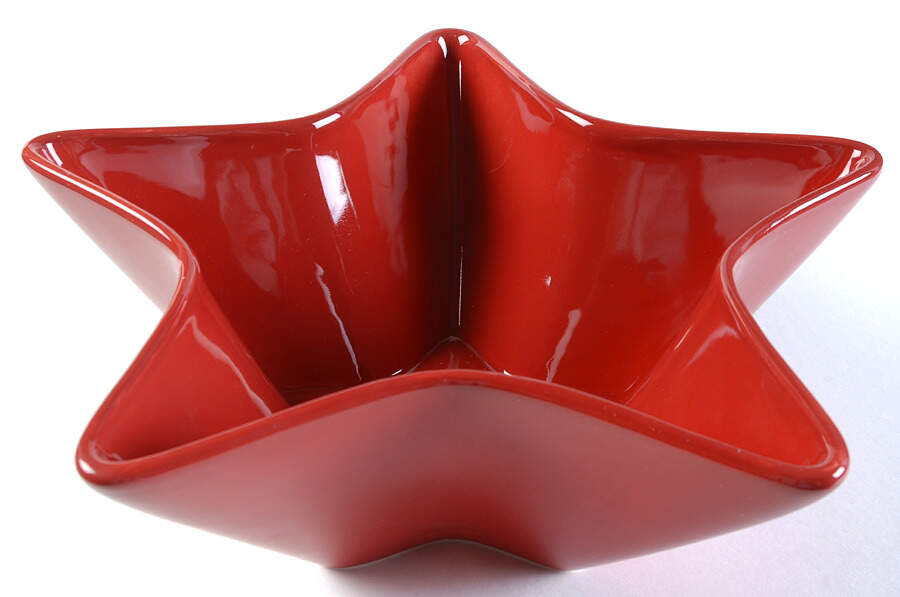 Sea Worthy 12" Star Shaped Bowl by Park Designs-1